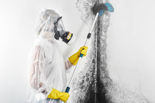 Best HVAC Mold Inspection and Cleaning  in Lincolnwood, IL