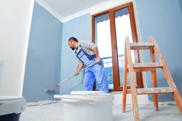 Best Mold Removal for HVAC Installations  in Lincolnwood, IL