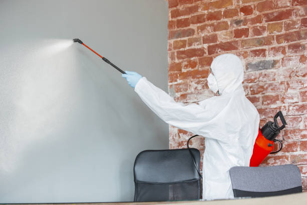 Best Mold Remediation for Vacation Homes  in Lincolnwood, IL