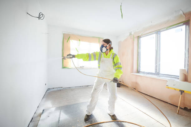 Best Asbestos and Lead Testing During Mold Inspection  in Lincolnwood, IL