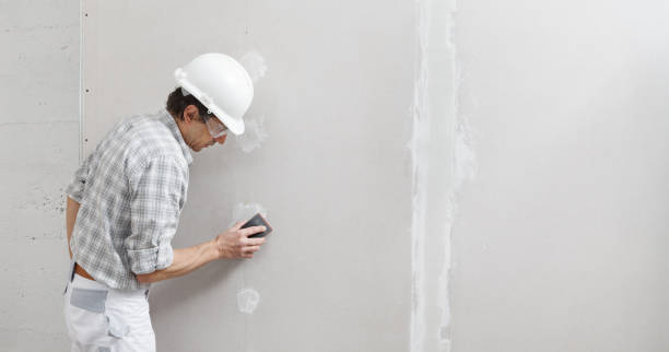 Best Air Quality Testing for Mold Spores  in Lincolnwood, IL