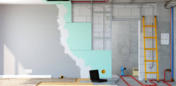 Best Mold Odor Removal Services  in Lincolnwood, IL