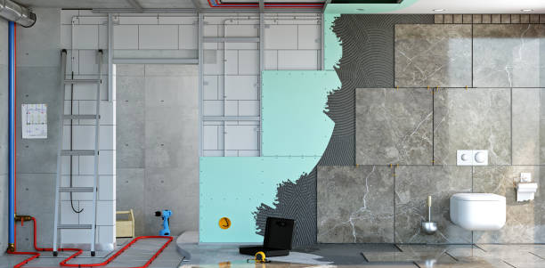 Best Emergency Mold Remediation  in Lincolnwood, IL