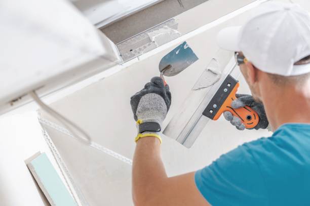 Best Mold Remediation for Healthcare Facilities  in Lincolnwood, IL